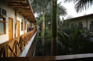 Casa Andina Standard Nasca - Nazca - 5