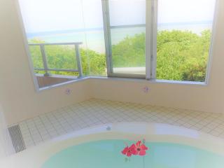 Seaside KLATCH -Villa&sauna- - Isola di Ishigaki - 2