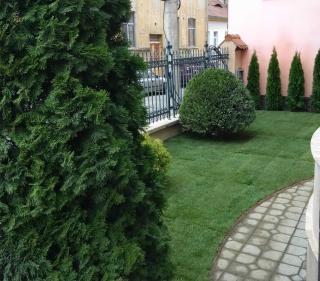 Noblesse Boutique Resort - Sibiu - 2