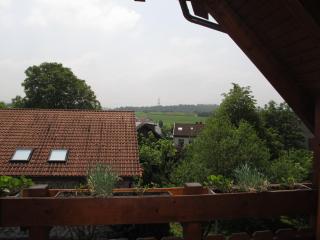 Hotel Glück - Ebersbach an der Fils - 8