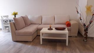 Apartment Nena- apartman sa posebnim ulazom u prizemlju, terasom i zelenom okućnicom - Rakotule - 1