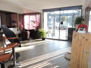 Hotel le Foron - La Roche-sur-Foron - 1