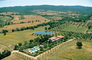 Agriturismo Poggio degli Ulivi - Rispescia - 8