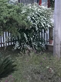 B&B Adema - Agropoli - 5