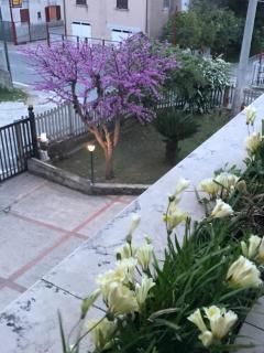 B&B Adema - Agropoli - 3