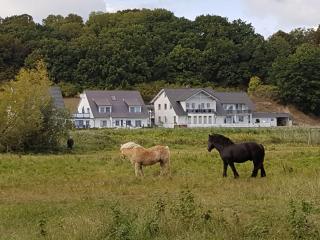 Ferienwohnung Bergholz - Klein Zicker - 3