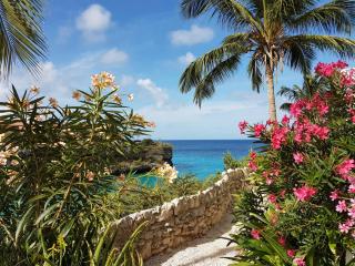 Bon Bini Lagun Curacao - Lagun - 8