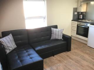 Modern Chic Loft Apartment - Birmingham - 3