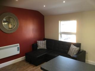 Modern Chic Loft Apartment - Birmingham - 1
