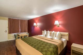 Econo Lodge I-40 Exit 286-Holbrook Holbrook - Holbrook - 8