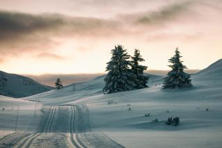 Rondane Høyfjellshotell - Mysusæter - 8