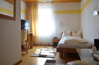 Hotel Landgasthof Kranz - Hüfingen - 1