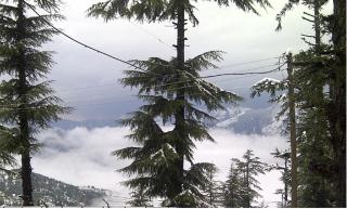 The Woodstock Resort - 2