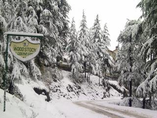 The Woodstock Resort - 1