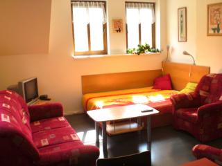 Apartment Near Ski Slopes - 4