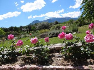Castell Rose - Prades - 2