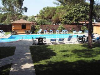Hotel Anfora - Castiglione della Pescaia - 4