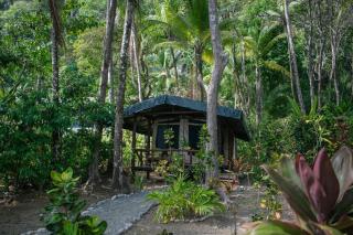 La Leona Eco Lodge - Carate - 6
