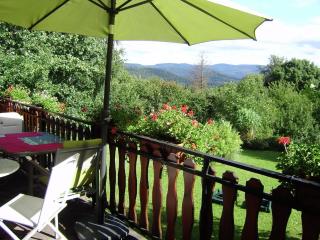 Chalet in Hommert near Sarrebourg - Hommert - 2