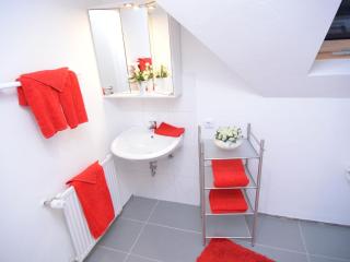 Charming holiday home near the ski area - Schmallenberg - 1