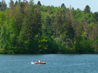 Charming holiday home near the ski area - Schmallenberg - 6