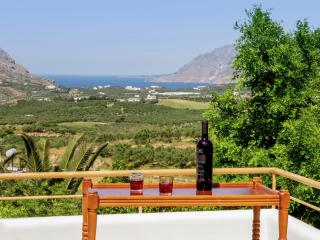 Villa in Lefkogia with Private pool - Lefkogeia - 2