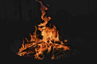 Camping Yellow Plum - 5