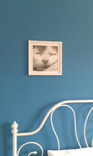 Holiday Home Lucinkas - 3