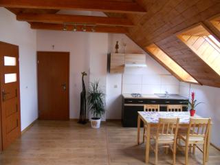 Apartament Kurzejówka - Rabka-Zdrój - 3