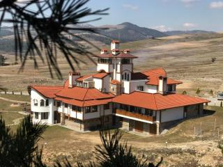 Park Hotel Eagle Stone - Koprivshtitsa - 0