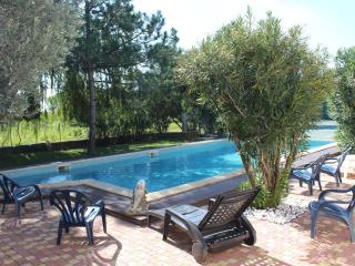 Holiday Home in Provence with Pool & Tennis - Piolenc - 5