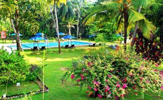 Oreeka - Katunayake Airport Transit Hotels - 5