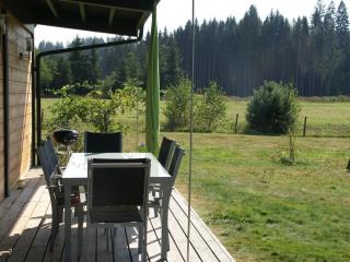 Comfortable apartment with balcony - Abreschviller - 6