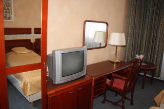 Hotel Alfacentrum - Valašské Klobouky - 7