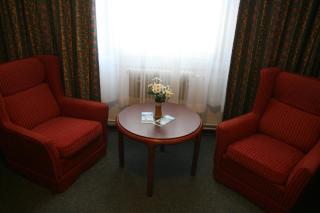 Hotel Alfacentrum - Valašské Klobouky - 1
