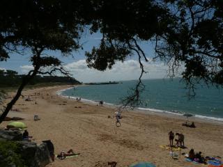 Studio Dunes aux Ecureuils - Saint-Palais-sur-Mer - 0