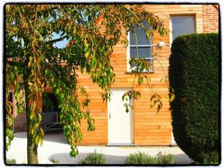Holiday home with terrace in Ellezelles - Ellezelles - 2