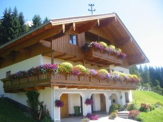 Oberegghof - Wagrain - 0