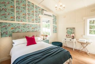 Little Violet - Belgrave - 5