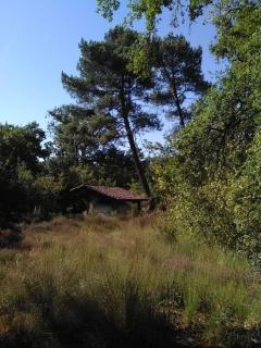 L'Atelier du Grison - Callen - 1