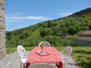 Attractive holiday home with beautiful view - Saint-Julien-du-Gua - 9