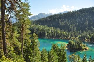 Crap da Flem - 3.5 Zimmer Ferienwohnung am Sonnenhang von Flims - Flims - 6