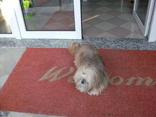 Hotel Storione - Lido di Jesolo - 7