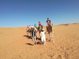 Desert Retreat Camp - Al Wāşil - 8