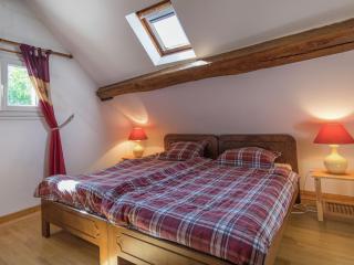 Cosy holiday home near Beauval Zoo - Bourré - 6