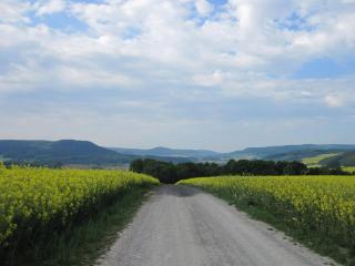 Urlaubspension 'Hohes Rott' und Apartmenthaus - 2