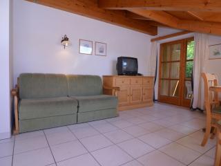 Holiday home near the ski resort - Mitterbach - 2