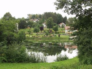 Steiner Wirt - Tiefenbach - 2