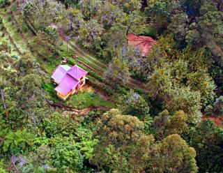 The Seven Sisters Farm - Kodaikānāl - 2