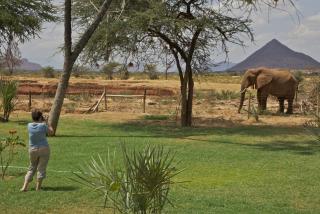 Ashnil Samburu Camp - Archers Post - 3